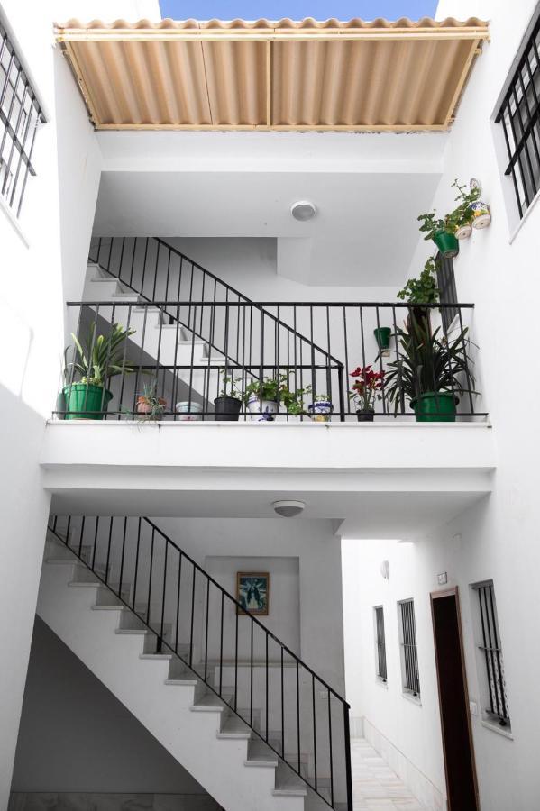 Bereber أحلام Daire Jerez de la Frontera Dış mekan fotoğraf